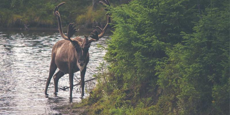Site is created successfully! 您的网站已成功创建，下一步该做什么？
