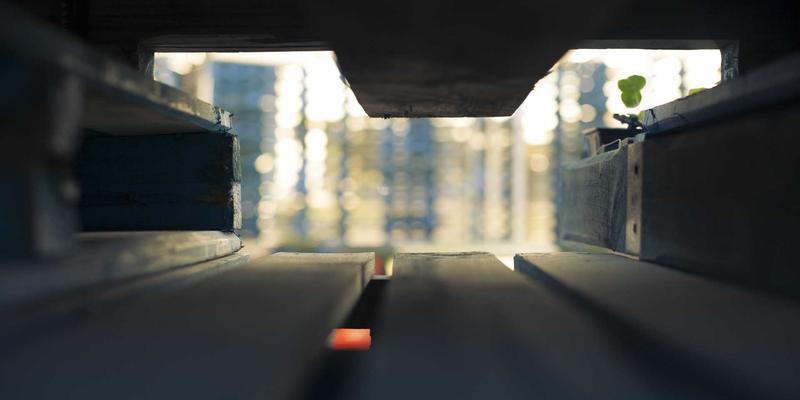 “Site is created successfully!” 页面出现后，您必须立即执行的5个关键步骤